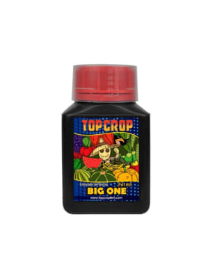 TOP BIG ONE - 250 ML - TOP CROP