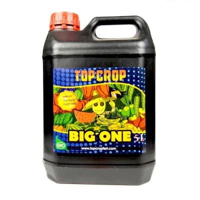 TOP BIG ONE 5L - TOP CROP