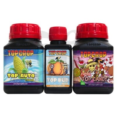 TRY-PACK AUTO - TOP CROP1