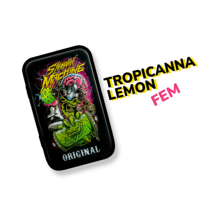 TROPICANNA LEMON FEM X3+1 - STRAIN MACHINE
