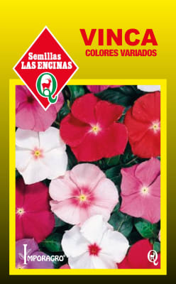 VINCA COLORES VARIADOS