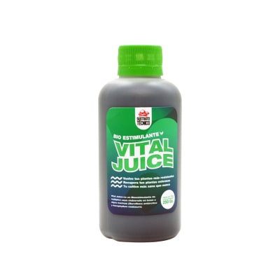 VITAL JUICE BIO ESTIMULANTE 250ML