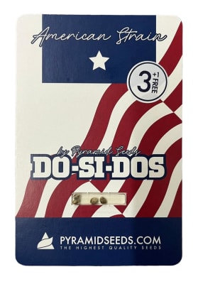 DO-SI-DOS FEM X3+1 - PYRAMID SEEDS