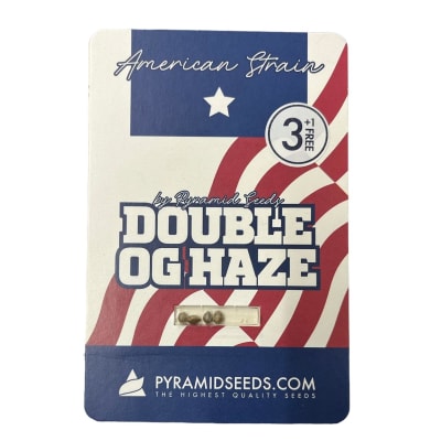 DOUBLE OG HAZE FEM X3+1 - PYRAMID SEEDS
