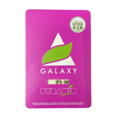 GALAXY FEM X3+1 - PYRAMID SEEDS