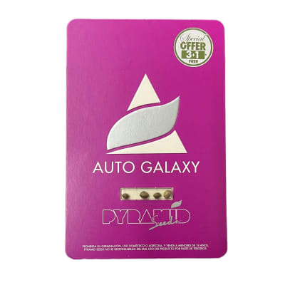 GALAXY AUTO X3+1 - PYRAMID SEEDS