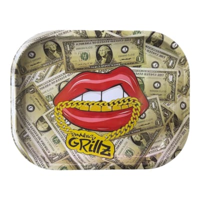BANDEJA CHICA 18X14CM DISEÑOS D11