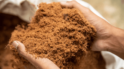 COCO MIX BIO BIZZ 3L