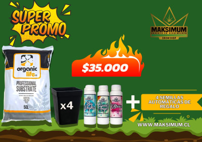 PACK CULTIVO x4 AUTOMATICA