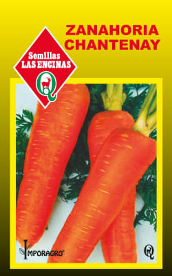 ZANAHORIA CHANTENAY