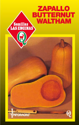 ZAPALLO BUTTERNUT WALTHAM
