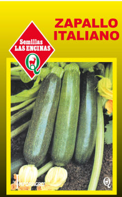 ZAPALLO ITALIANO