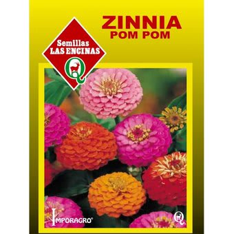 ZINNIA POM POM COLORES VARIADOS
