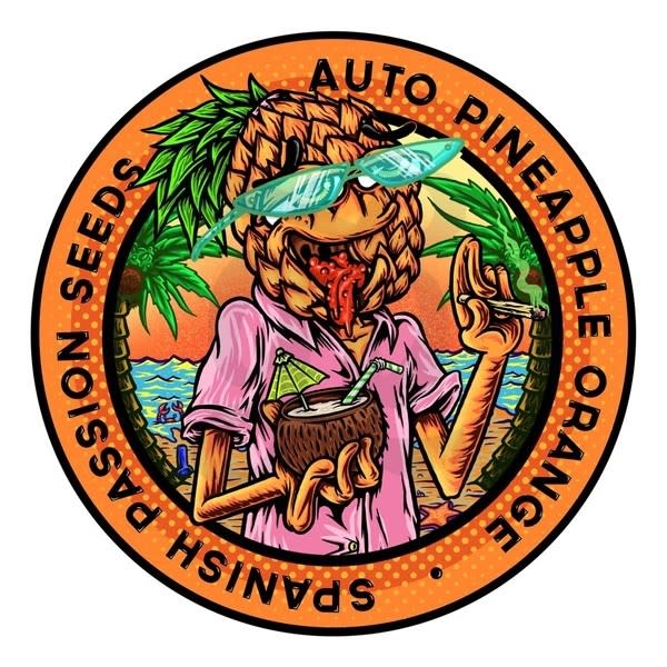 PINEAPPLE ORANGE AUTO X3 - SPANISH PASSION SEEDS1