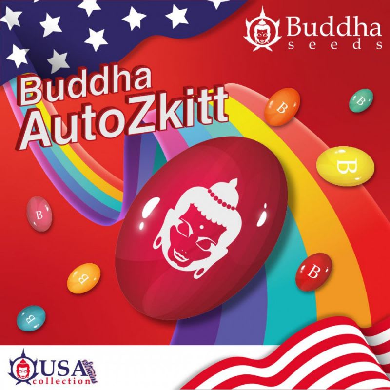 ZKITT AUTO X3 - BUDDHA SEEDS 1