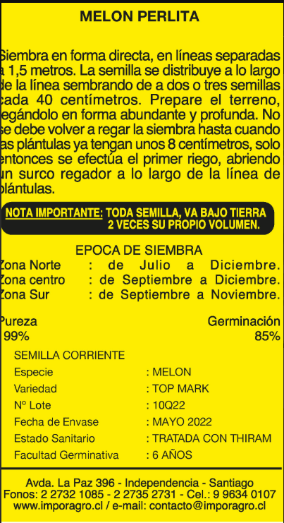 MELON PERLITA2