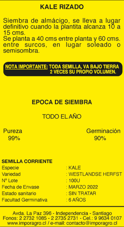 KALE RIZADO2