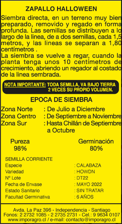 ZAPALLO HALLOWEEN2