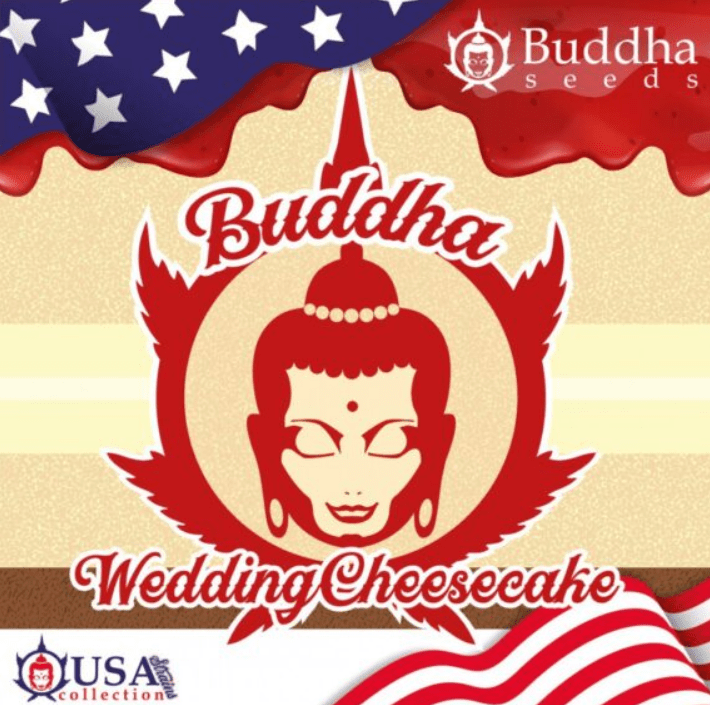 WEDDING CHEEECAKE FEM X3 - BUDDHA SEEDS2