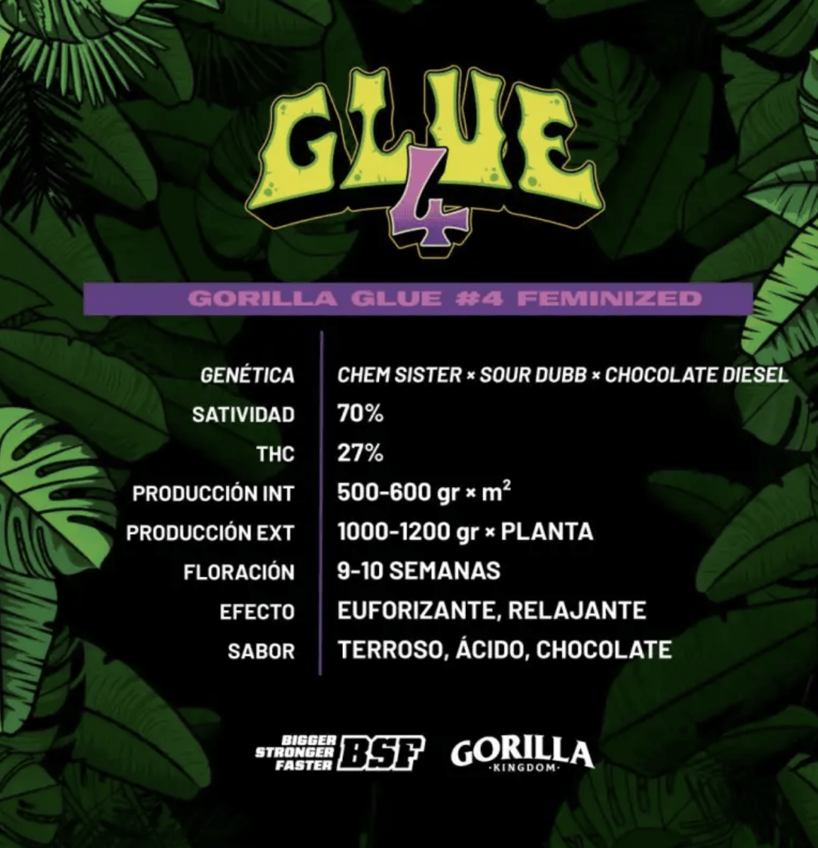 GORILLA GLUE #4 GK FEM X12 - BSF SEEDS2