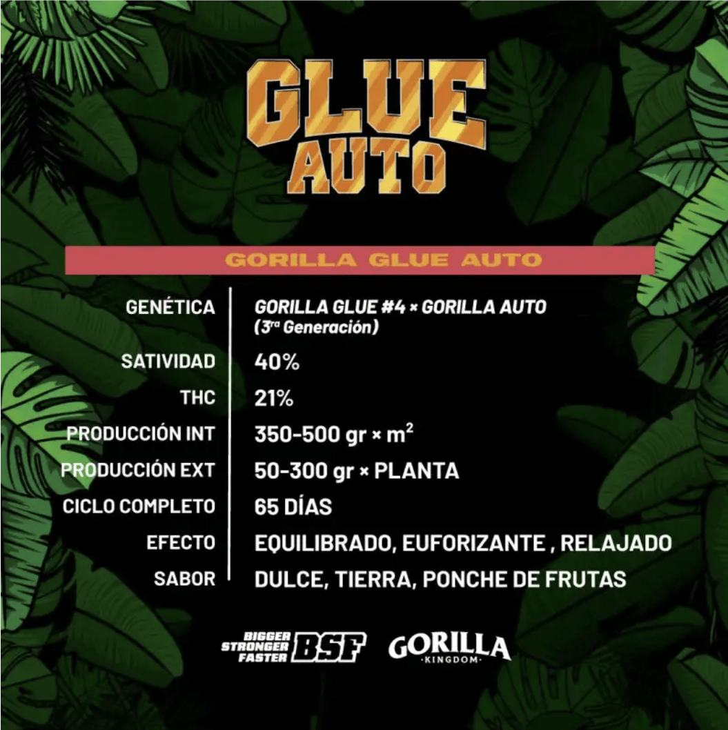 GORILLA GLUE AUTO X2 - BSF SEEDS2