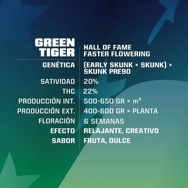 GREEN TAGER FAST VERSION X4 - BSF SEEDS2