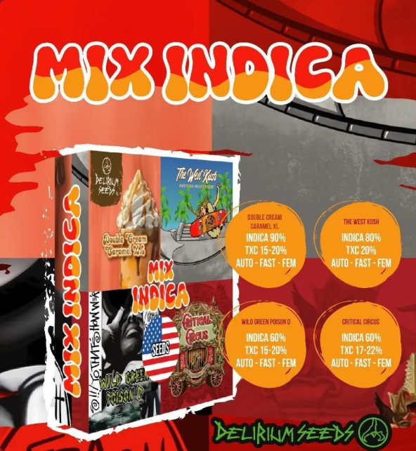 MIX INDICA FEMINIZED X14 - DELIRIUM SEEDS1