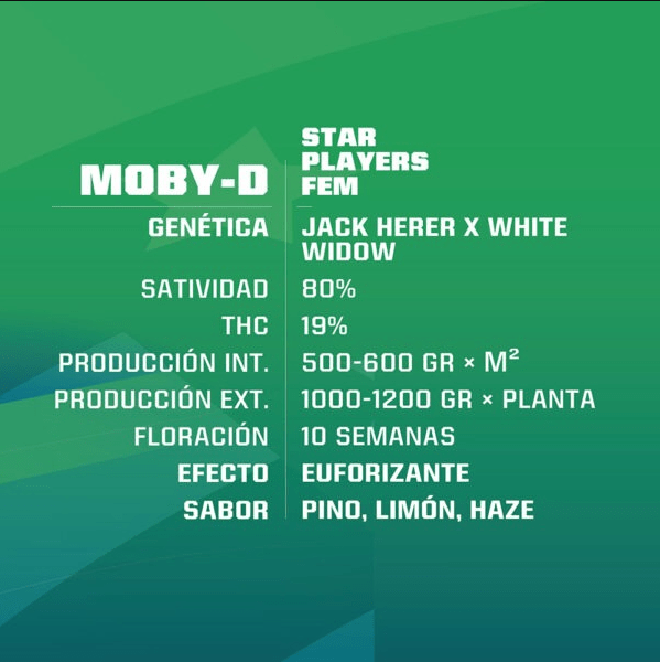 MOBY D FEM X7 - BSF SEEDS2