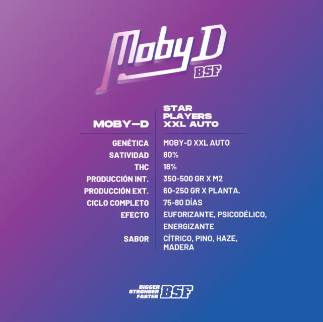 MOBY D XXL AUTO X12 - BSF SEEDS2