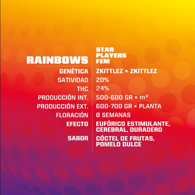 RAINBOWS SP FEM X4 - BSF SEEDS2