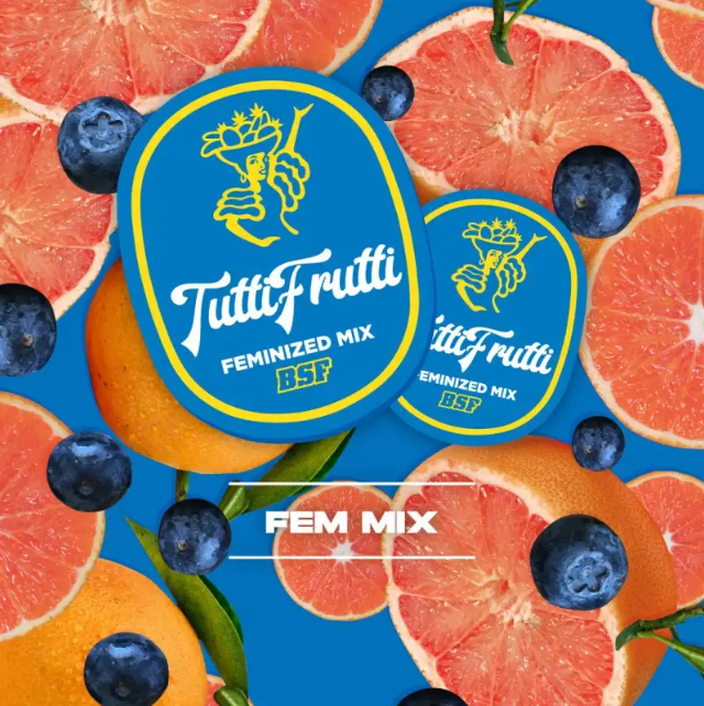 TUTTI FRUTTI MIX FEM X4 - BSF SEEDS 0