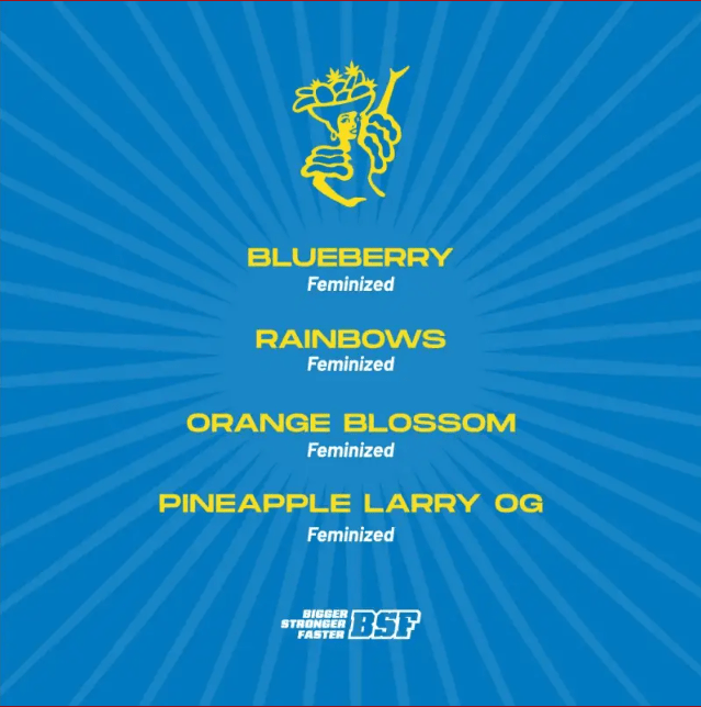 TUTTI FRUTTI MIX FEM X7 - BSF SEEDS2