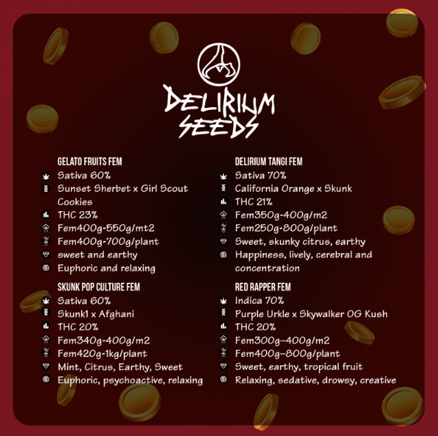 VEGAS RUSH FEMINIZED X14 - DELIRIUM SEEDS2