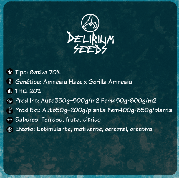 CALIFORNIA AMNESIA AUTO X4 - DELIRIUM SEEDS2