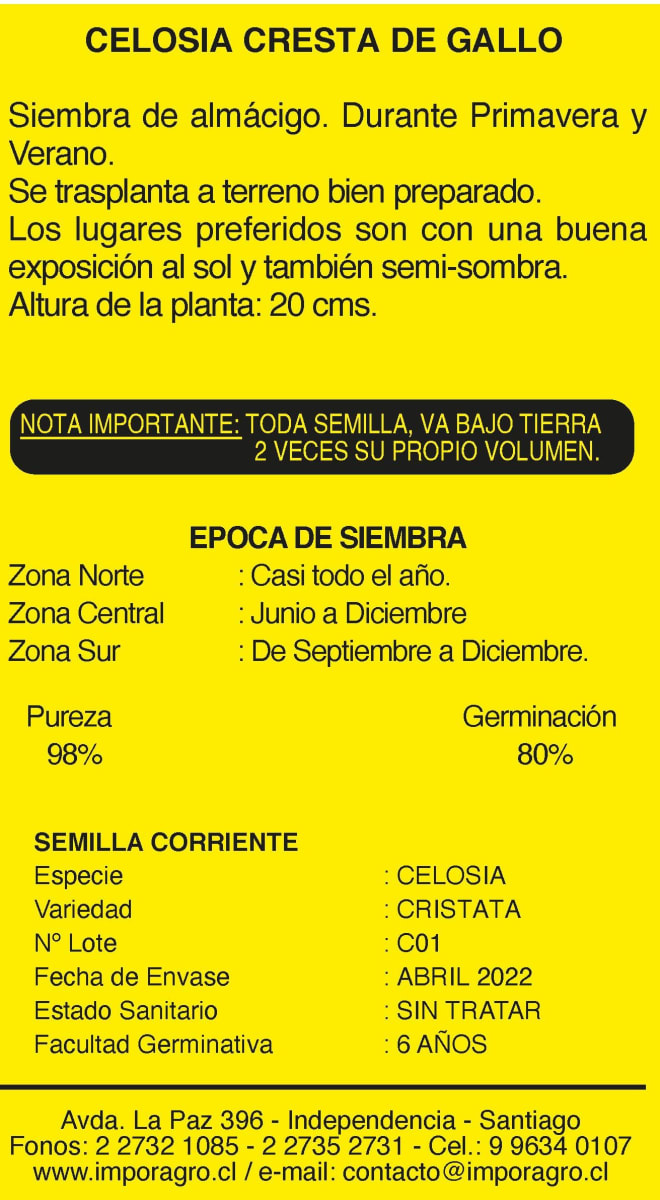 CELOSIA - CRESTA DE GALLO1