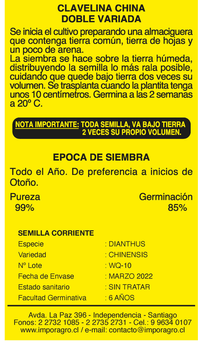 CLAVELINA CHINA COLORES VARIADOS2