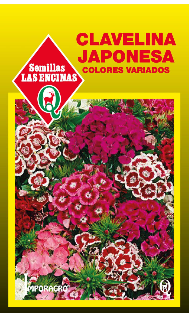 CLAVELINA JAPOSENA COLORES VARIADOS 0