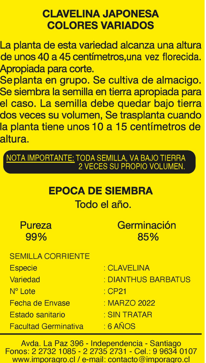 CLAVELINA JAPOSENA COLORES VARIADOS2