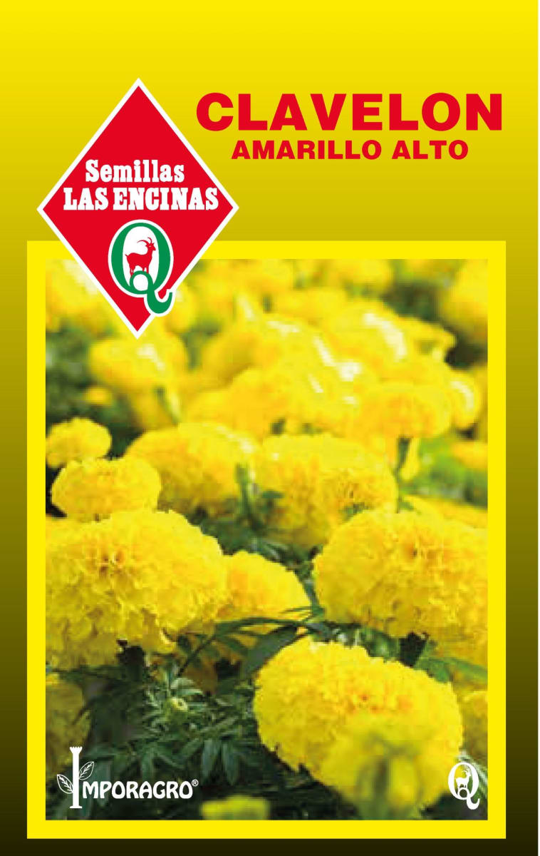 CLAVELON AMARILLO ALTO 0