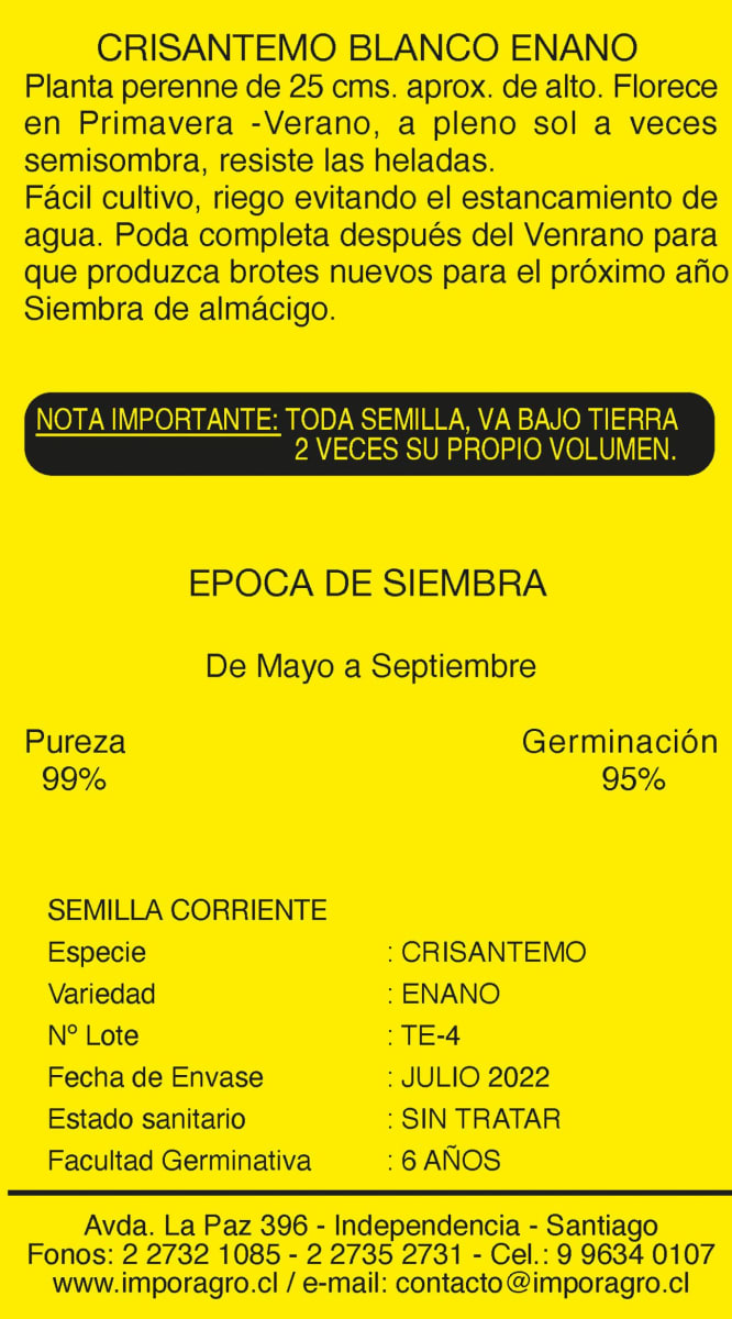 CRISANTEMO BLANCO ENANO2
