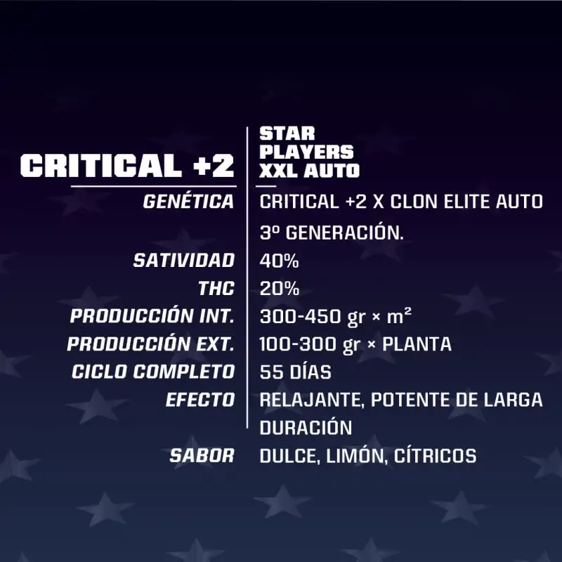 CRITICAL +2 XXL AUTO X4 - BSF SEEDS1