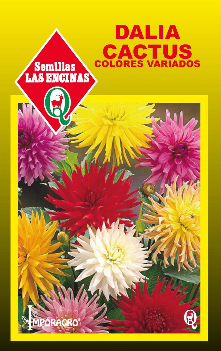 DALIA CACTUS COLORES VARIADOS 0