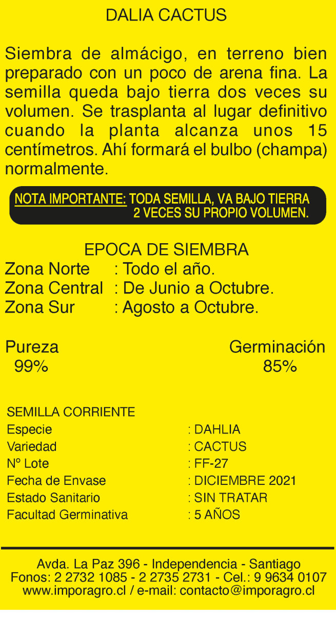 DALIA CACTUS COLORES VARIADOS2