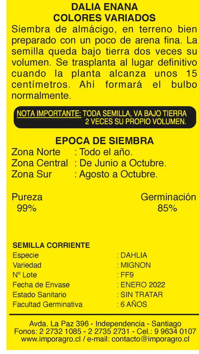 DALIA ENANA COLORES VARIADOS2