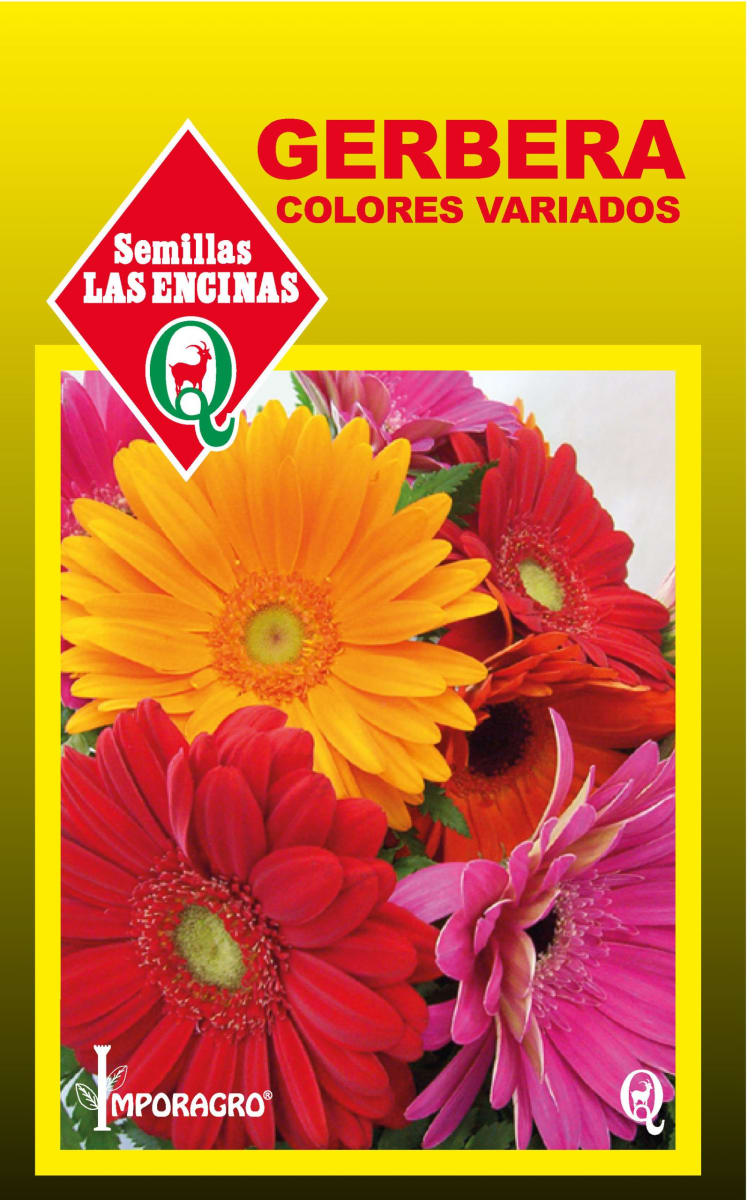 GERBERA COLORES VARIADOS 0