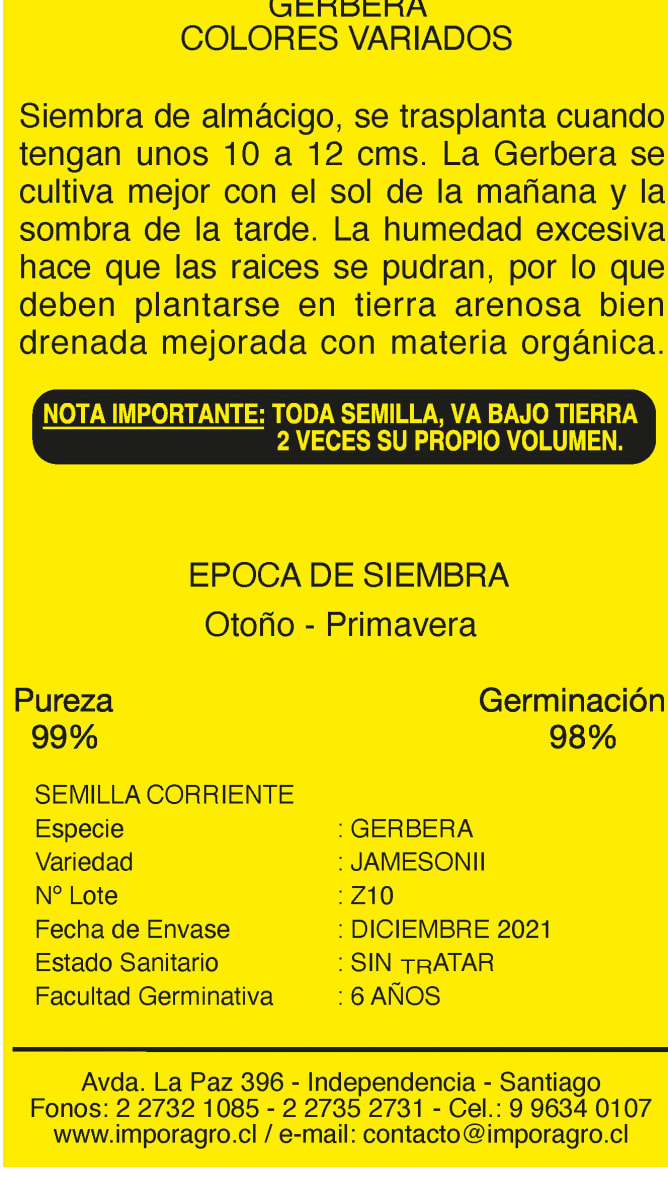 GERBERA COLORES VARIADOS2