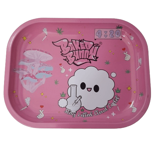 BANDEJA CHICA 18X14CM DISEÑOS5