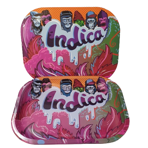 BANDEJA METALICA 18X14CM CON TAPA IMANTADA1