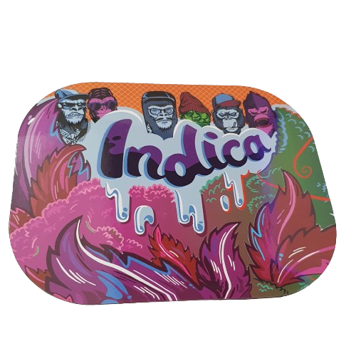 BANDEJA METALICA 18X14CM CON TAPA IMANTADA2