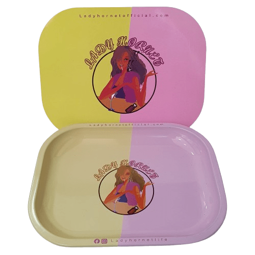 BANDEJA METALICA 18X14CM CON TAPA IMANTADA5